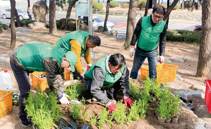 부산 수영구새마을회 새마을 꽃동산 봄꽃 심기