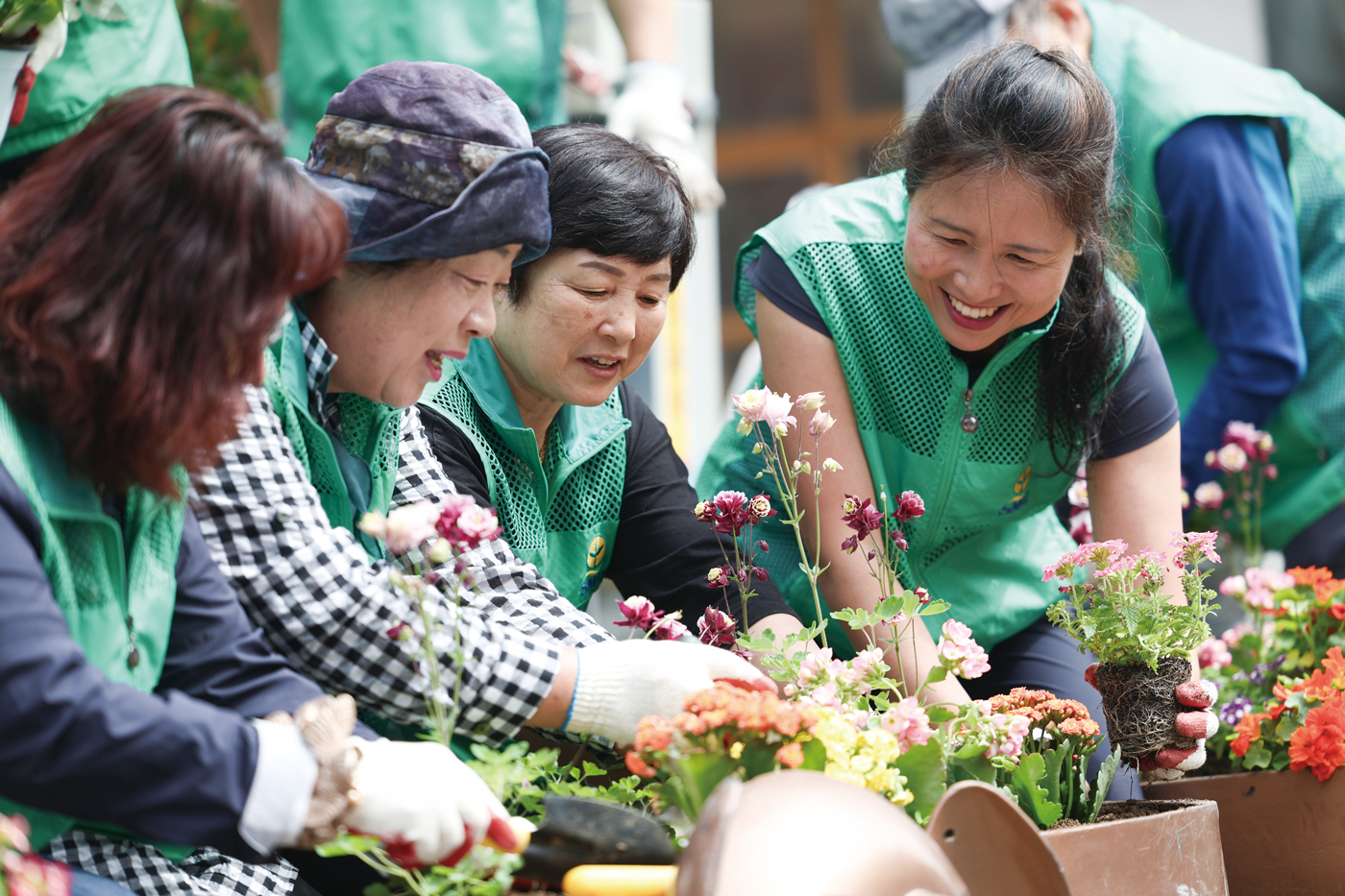 화단에 꽃을 심는 마포구새마을회 지도자들